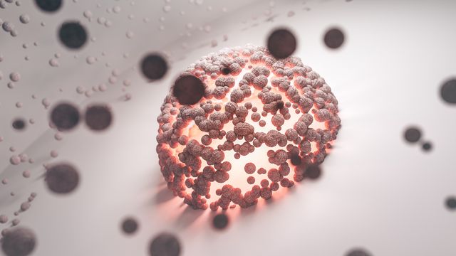 Targeted Nanoparticle Drug Delivery: Precision Medicine at the Cellular Scale